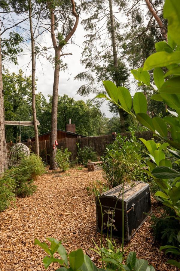 Zen-Bungalow No 4 Met Sauna En Hottub Rheezerveen Buitenkant foto